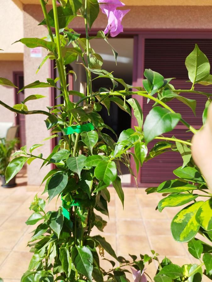 Vivienda Vacacional Compartida Radazul Bed and Breakfast Εξωτερικό φωτογραφία